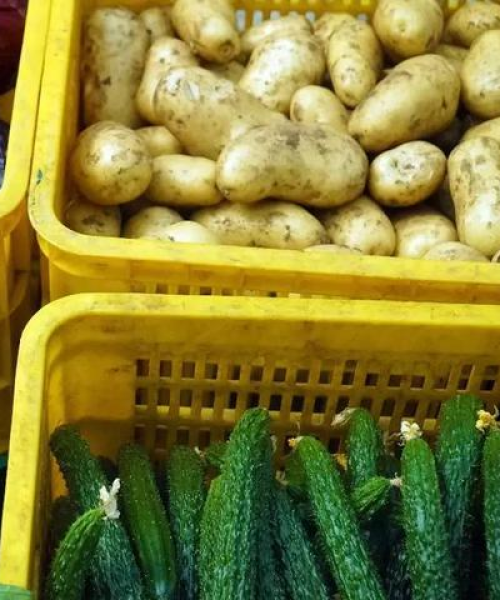 超市窃贼行为案例集锦，最新抄袭事件全解析
