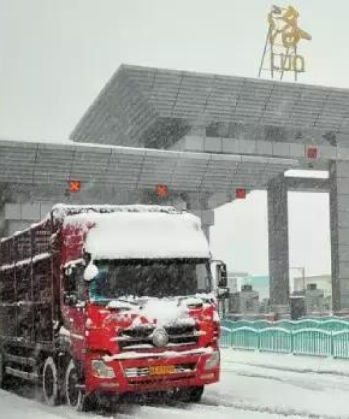 偃师今日大雪消息更新，最新动态速览