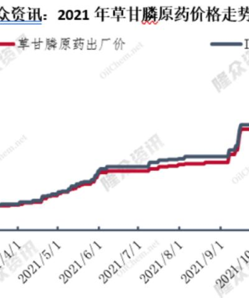 甘氨酸今日行情，最新价格走势分析与市场预测