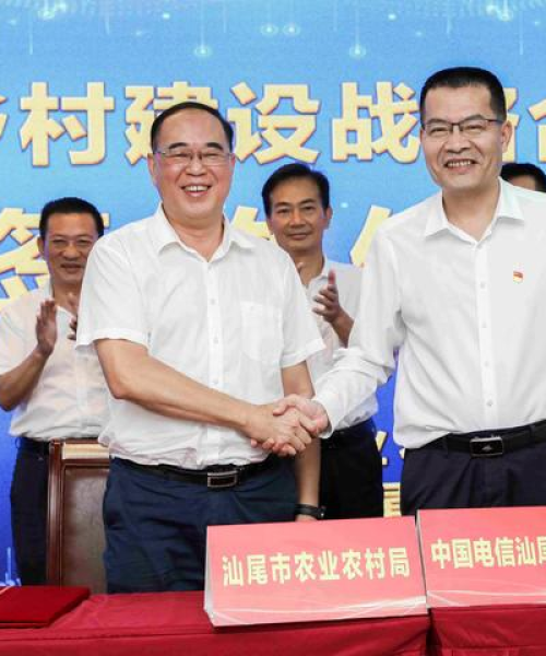 汕尾市电信公司排名深度解析，行业地位与竞争力评估