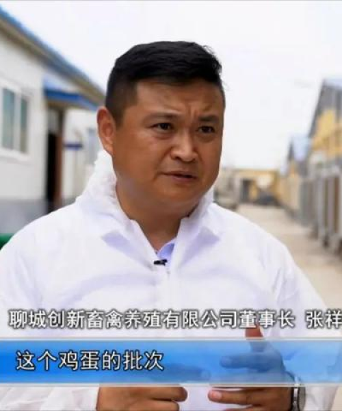 阳谷今日鸡蛋价格行情及分析综述