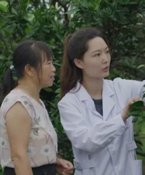 杨梅镇是否为风险区？最新情况解读！