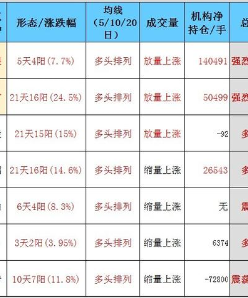 期货市场最新动态解析，今日行情走势概览