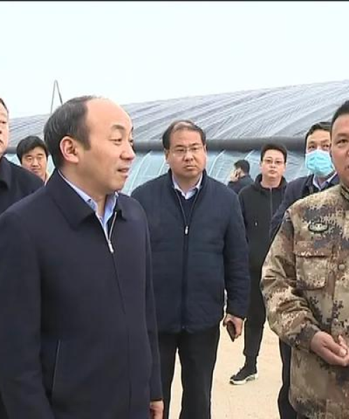 周口大棚房现象深度观察，最新今日头条新闻解读