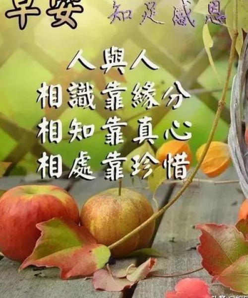 早安励志语录，奋进力量的许愿图片启航你的正能量之旅！