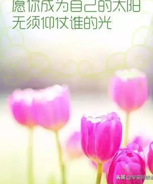 励志人生感悟语录集锦