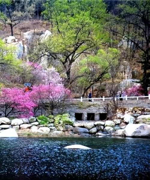 泰山夜爬攻略，最新指南带你领略泰山之美