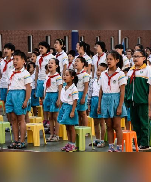 解读公司厅小学排名背后的教育力量与未来趋势展望