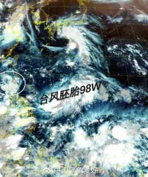 烟花博主排行榜最新版，网络世界璀璨烟火大比拼！