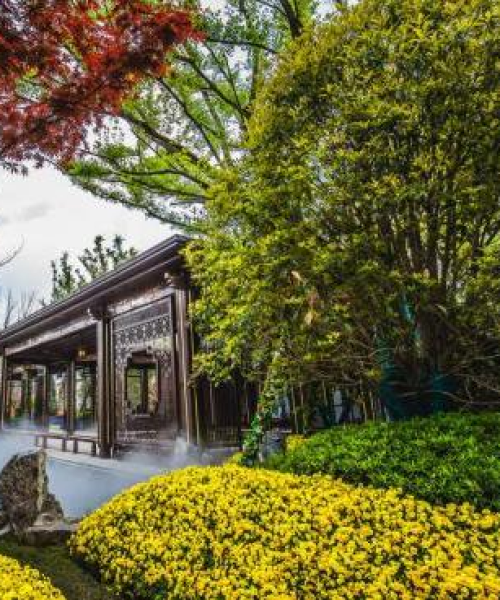 常德桃花源秘境探索，千年风华旅游攻略