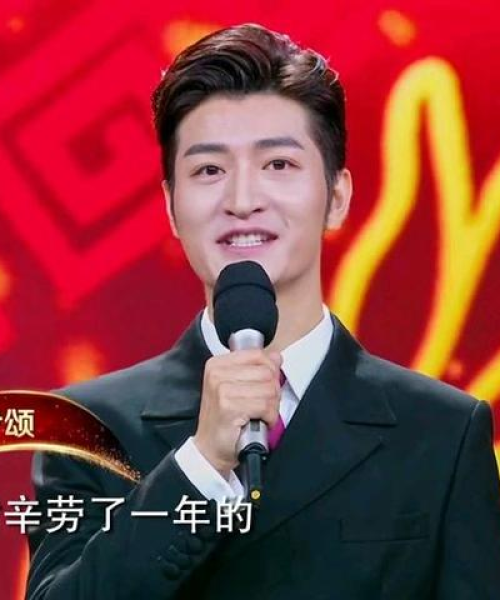 任丘今日玉米价格走势揭秘，最新行情分析与市场洞察