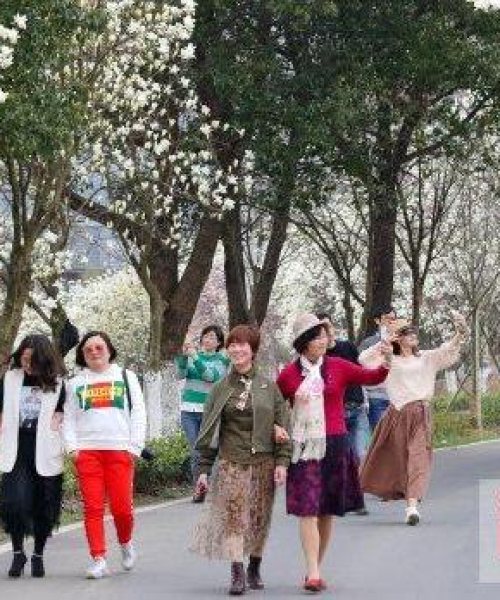 莫干山旅游攻略揭秘，自然与人文的完美交融之旅！