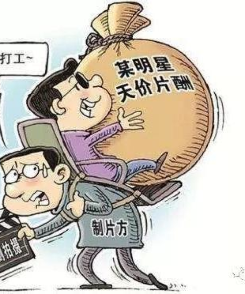 全球税收制度差异揭秘，各国征税比例排名及变迁探究