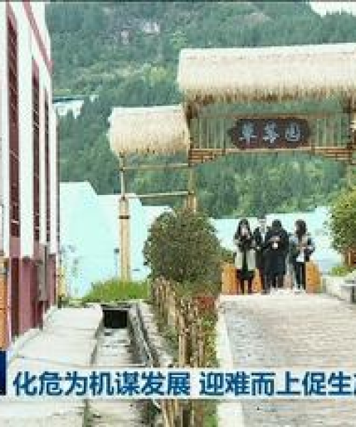 仪陇最新新闻报道今日更新